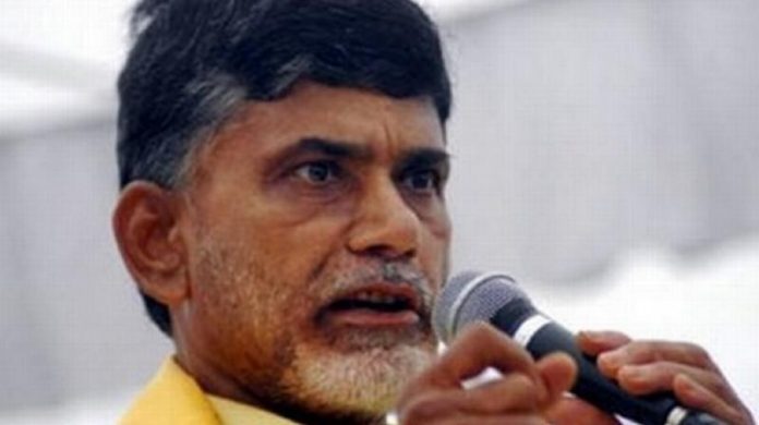 Chandrababu Naidu-PTI Chandrababu Naidu - The Federal