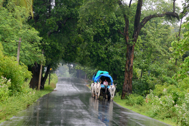 IMD issues red alert to four Kerala districts
