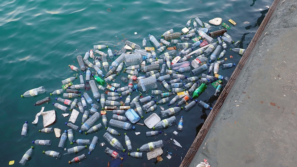 Your takeaway food, bottles form half of ocean plastic waste: Study