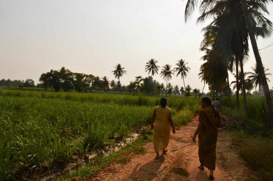 Sugar factories dues may push farmers votes against JD(S) in Mandya