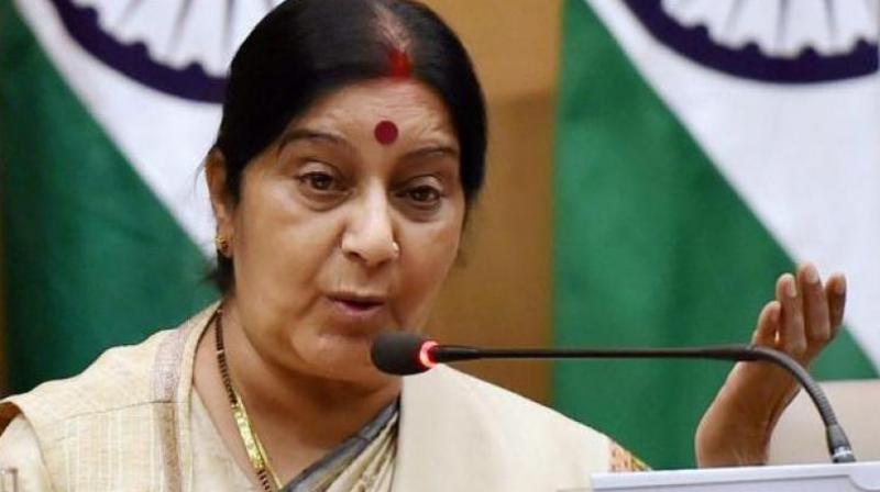 No Pak soldier or civilian died in Balakot air strike: Swaraj