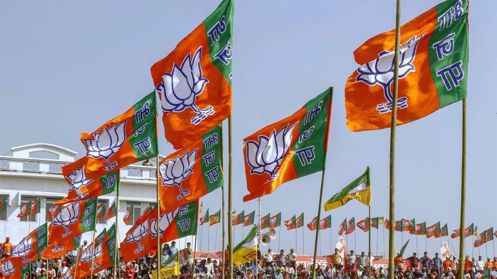 BJP routs opposition in Gujarat municipal elections