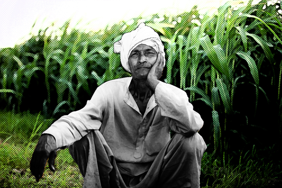 Telanganas Rythu Bandhu: not a bumper harvest for tenant farmers