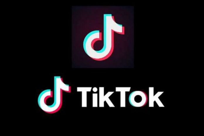 Madurai Bench Of Madras High Court Lifts Ban On Tik Tok The Federal