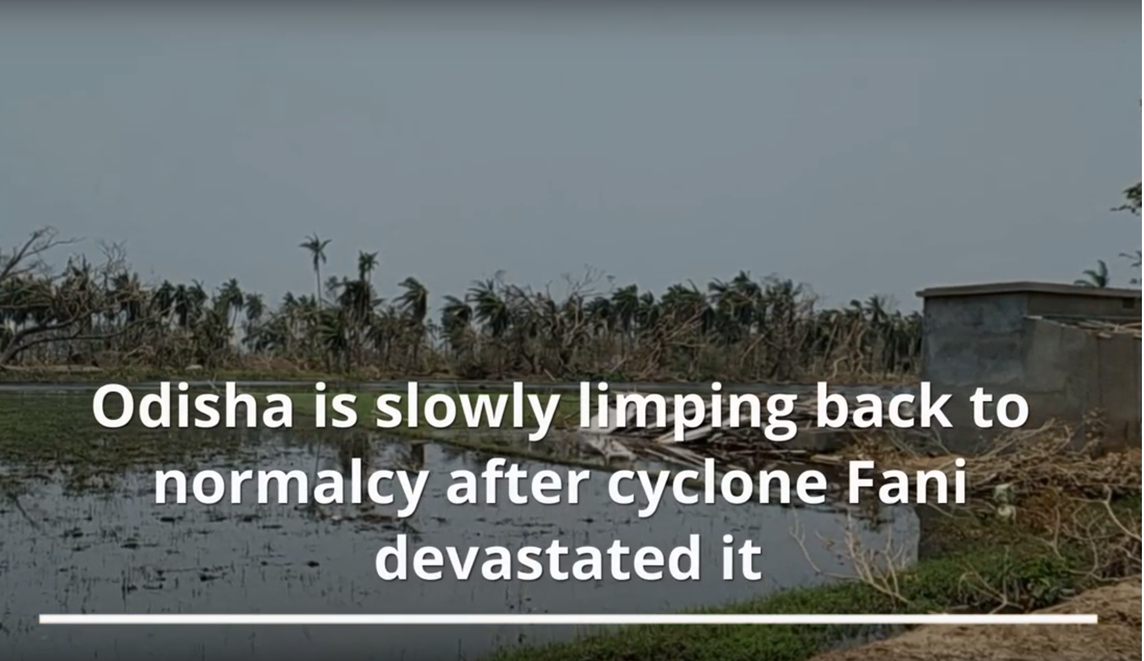 Odisha slowly limps back to normalcy after Cyclone Fani