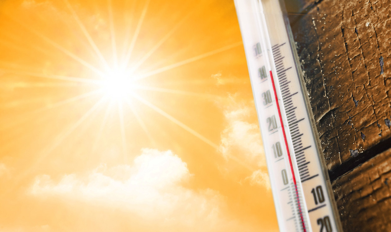 IIT Delhi researchers studying heat stress tolerance thresholds in India