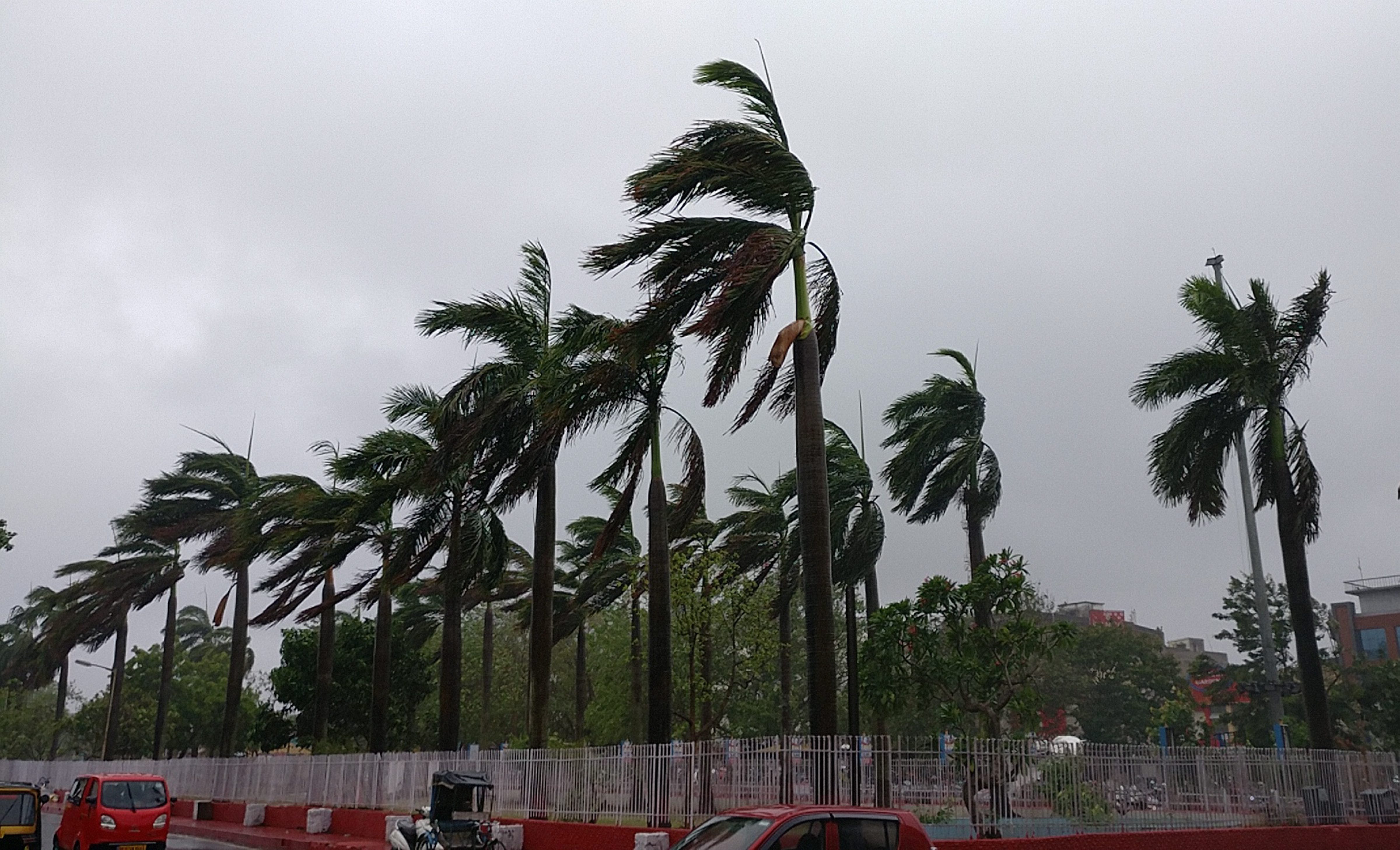 Cyclone Fani expected to trigger heavy rains; claims 3 lives