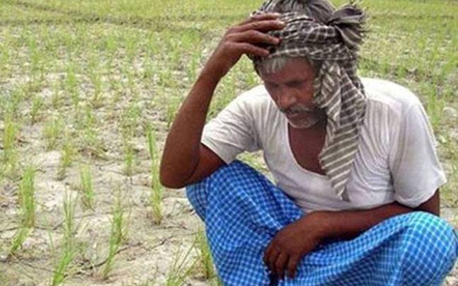e-Adangal, TNs web-based land registry, leave farmers in lurch