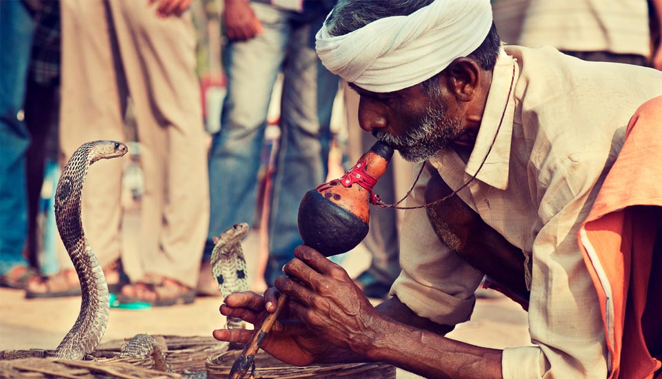 Music from Indian snake charmers flute may boost preemies brain development: Study