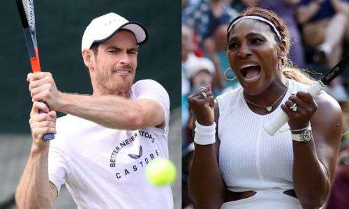 Andy Murray, Serena Williams, Wimbledon, AFP, tennis, english news website, The Federal