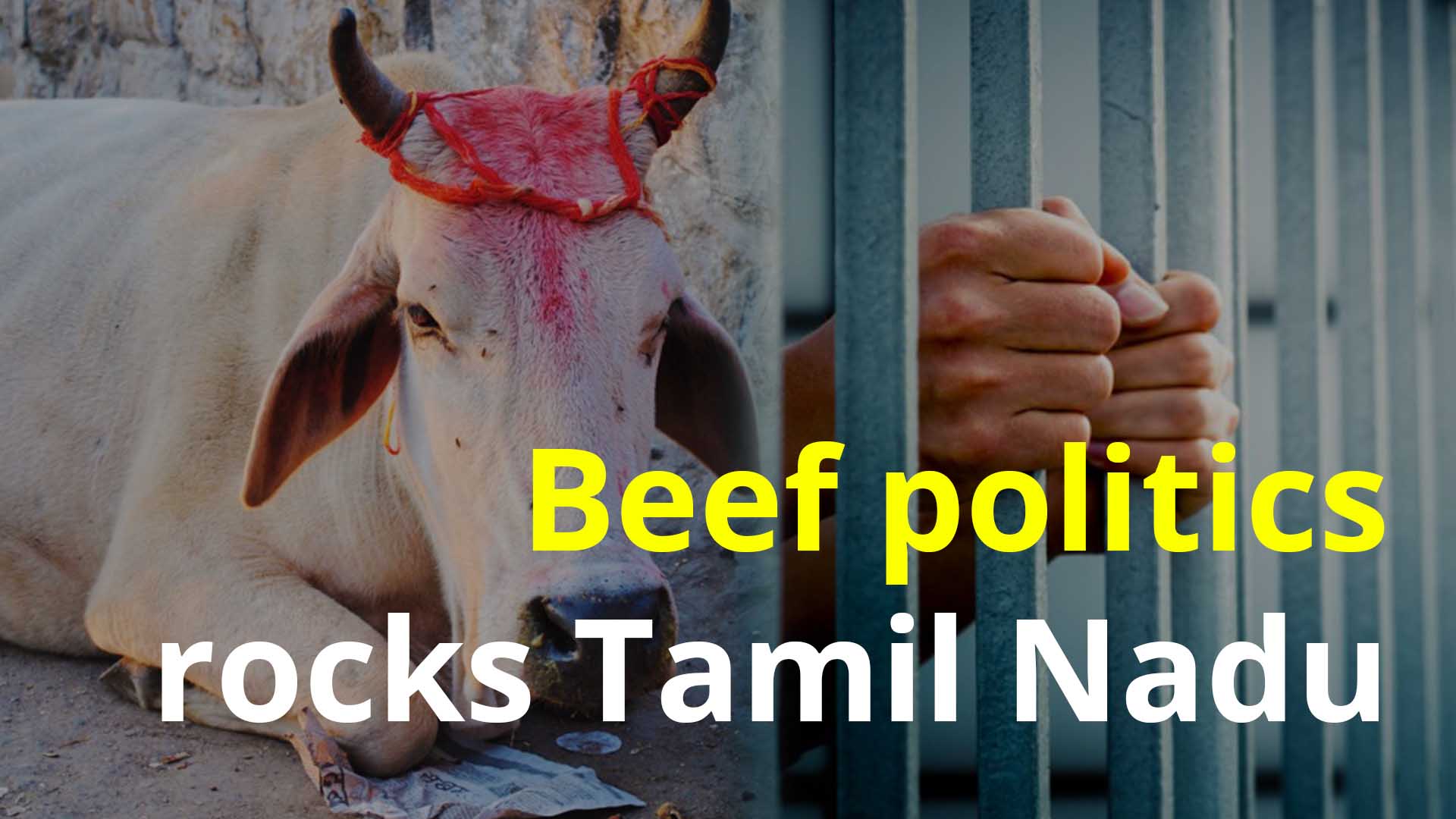Beef politics rocks Tamil Nadu