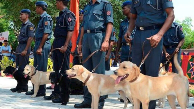 Police Dog Squad Madhya Pradesh - The Federal