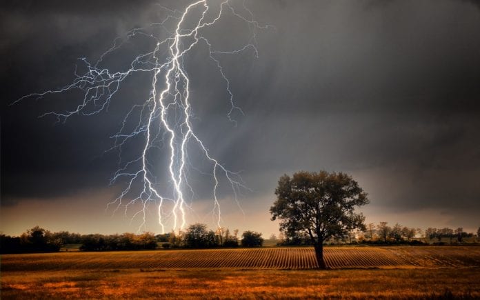 Did you know? Lightning kills more than 2,000 people in India every year -  The Federal