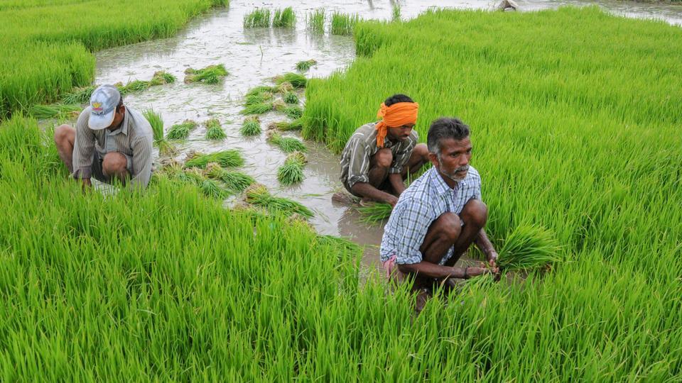 Nirmala Sitharaman, Union Budget, Pradhan Mantari Awas Yojna, Finance Minister