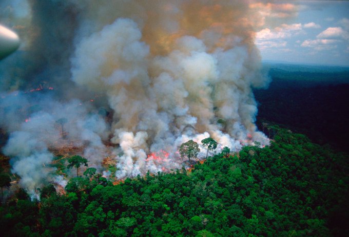 Brazil, Amazon, Amazon fire, carbon, forest fire, wildfire, The Federal, English news website