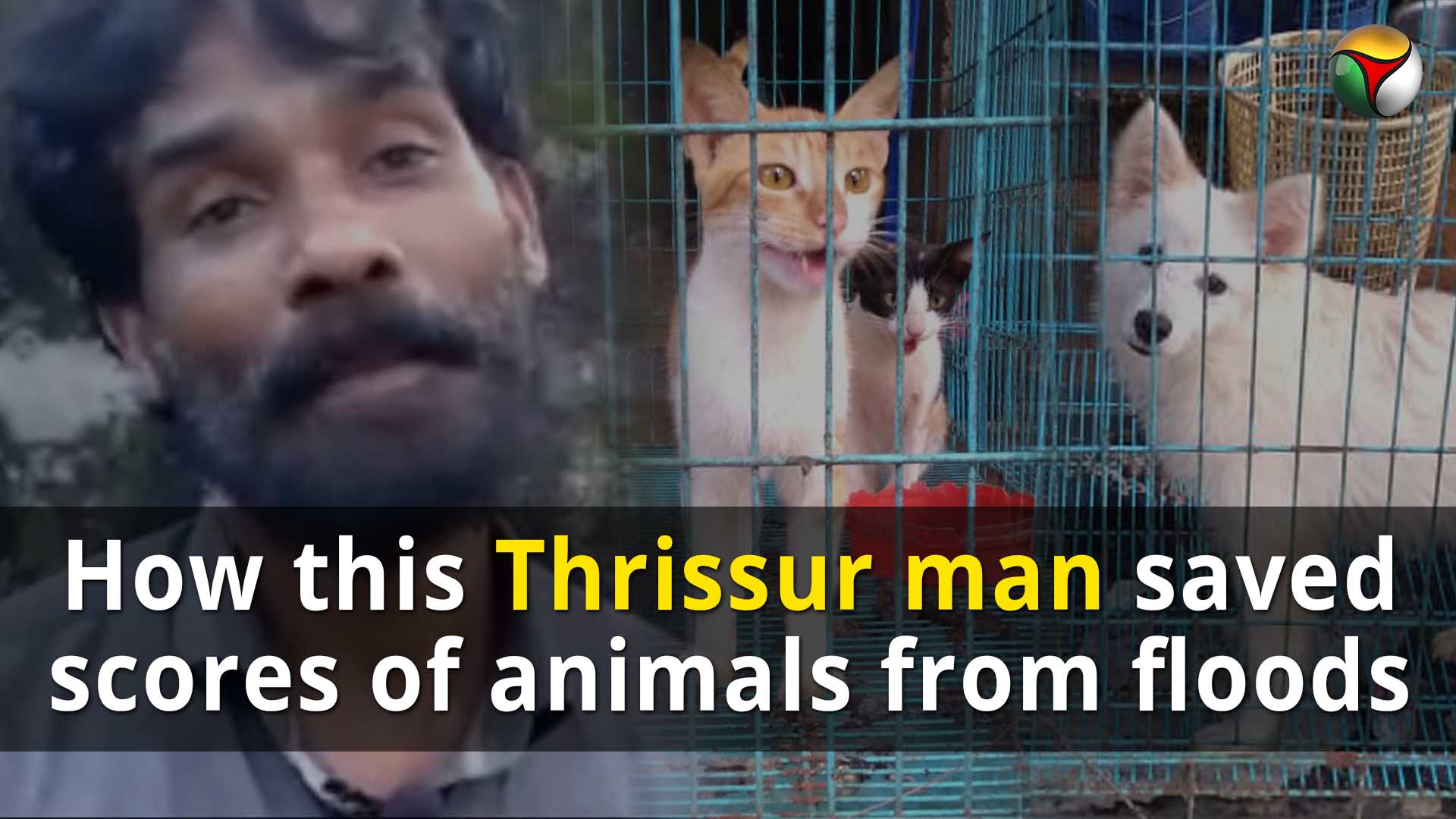 How this Thrissur man saved scores of animals from flood