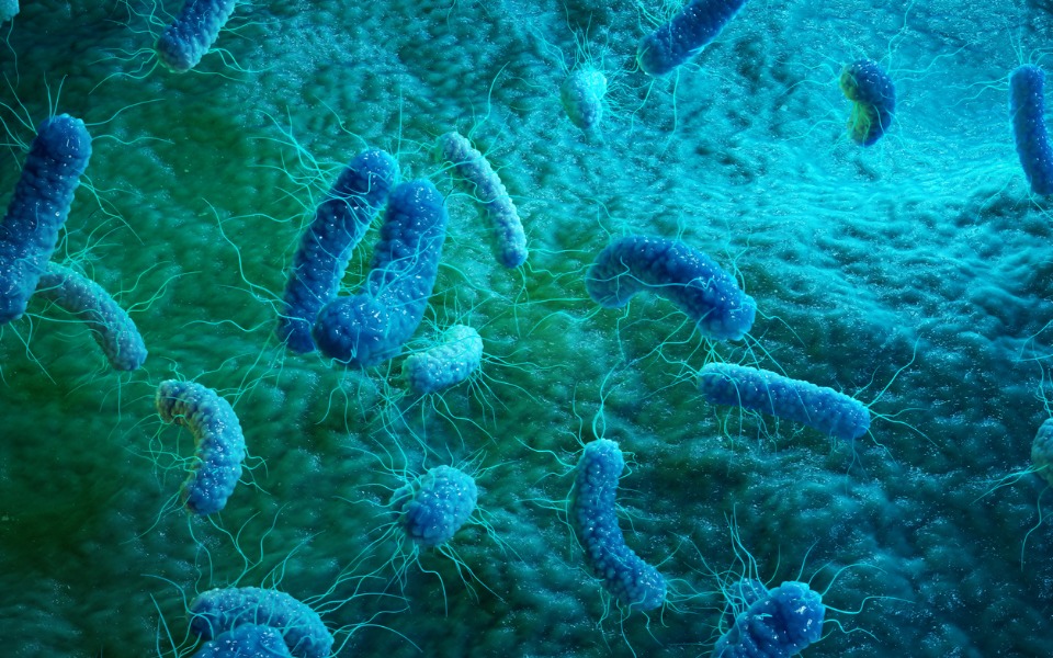 New method using viruses to kill bacteria may help fight antibiotic resistance: Study