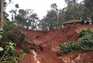 Coffee, plantation, Kodagu, Codagu, flood, landslide, rainfall, rain, crops, The Federal, English news website