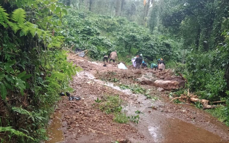 Coffee, plantation, Kodagu, Codagu, flood, landslide, rainfall, rain, crops, The Federal, English news website