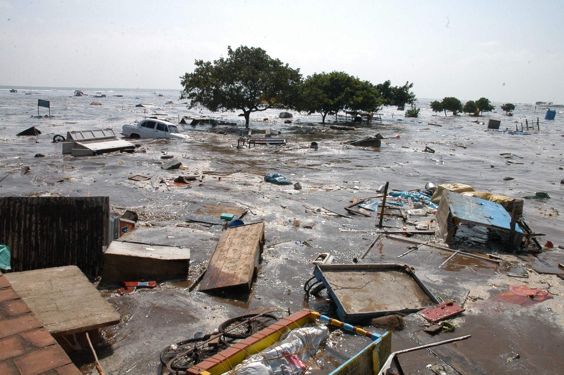 Индия цунами