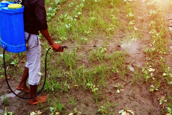 Endosulfan pesticide victims Kerala Palakkad