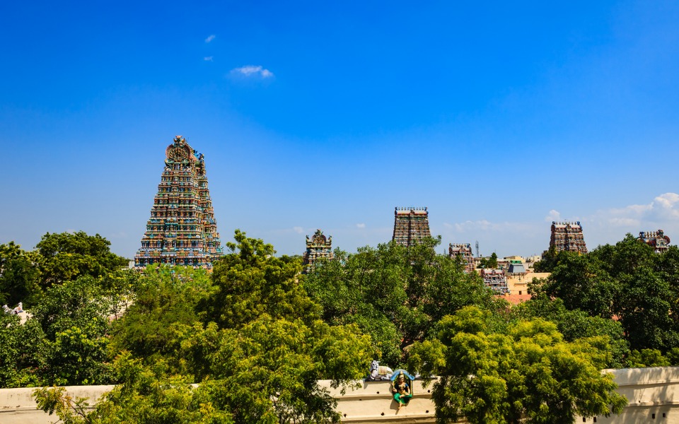 Madurai Meenakshi Amman temple, Meenakshi temple, Maruthu Pandiyar, statue, The Federal, English news website