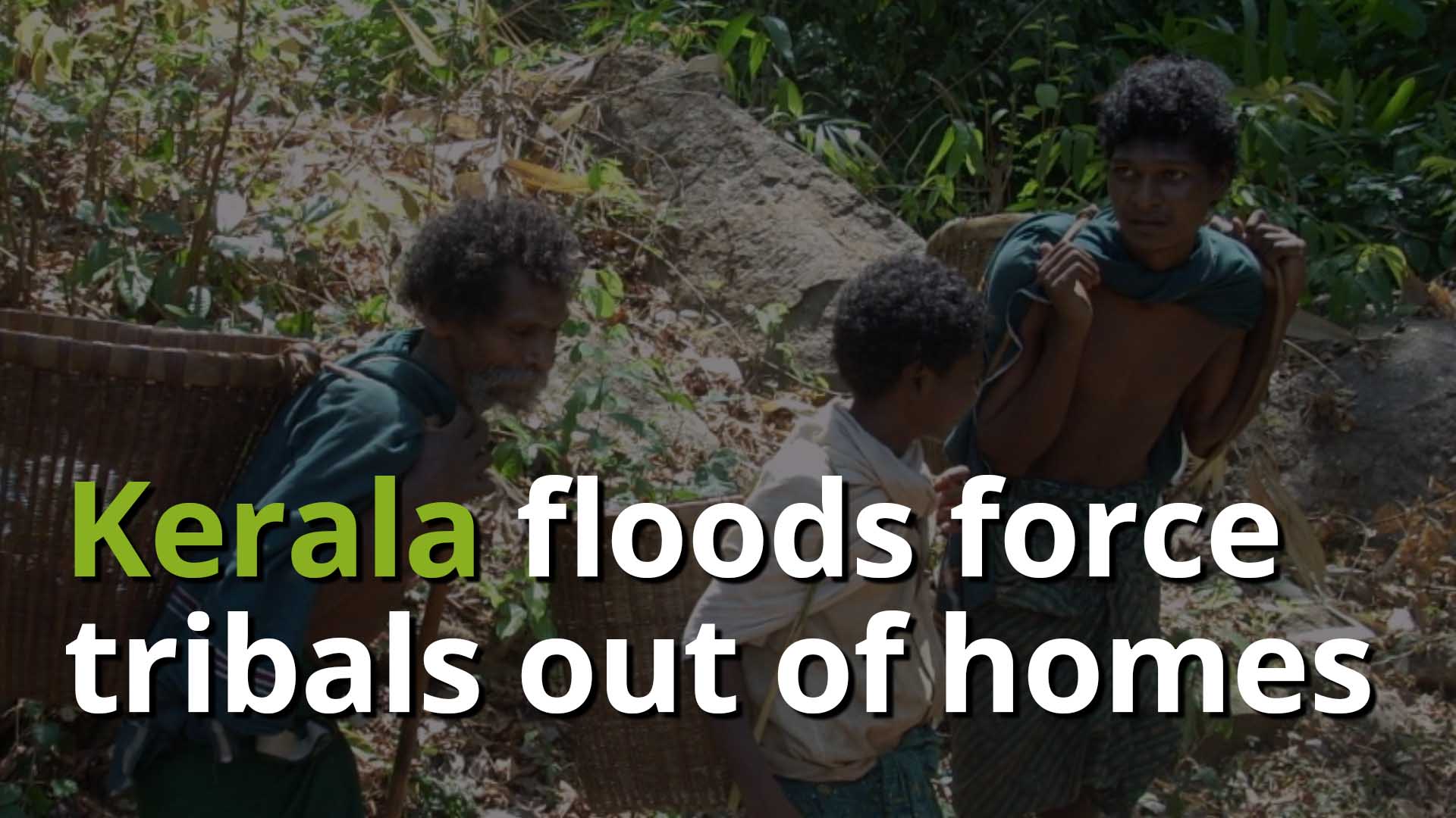 Kerala floods force tribals out of homes, forests