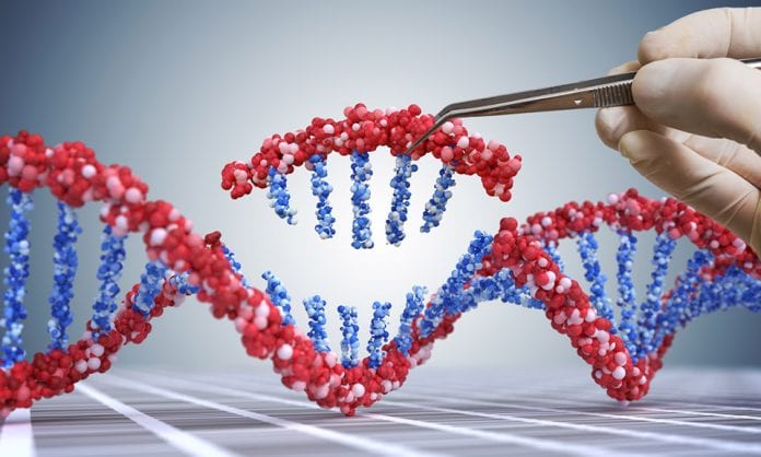 Gene editing, CRISPR, Antisense therapy, Genome sequencing, Genetics, Biotechnology, Duchenne muscular dystrophy, the federal, english news website