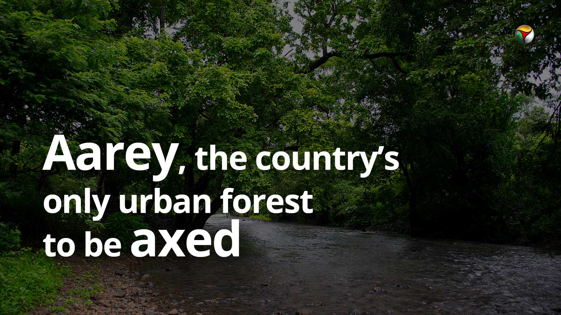 Aarey, the countrys only urban forest to be axed!