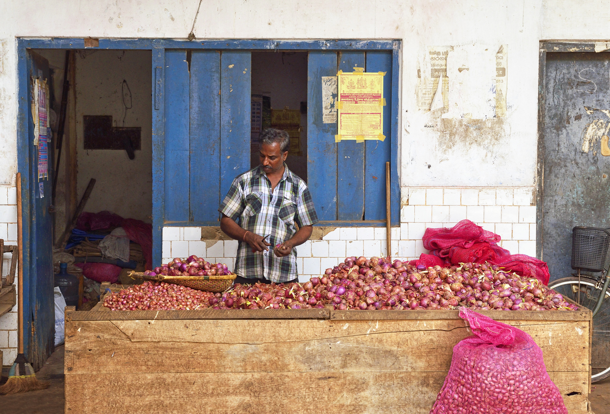 Govt bans onion export, imposes stock limit on traders to check price rise
