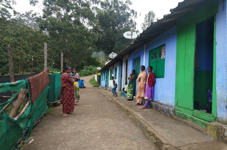 The no lands men in Munnars tea estates