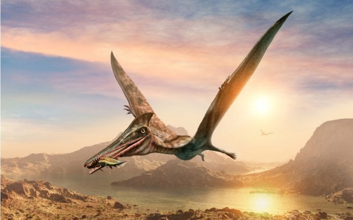largest flying animal, new species, reptiles, dinosaurs, pterosaur, T-rex, Triceratops, Jurassic era, Jurassic Park