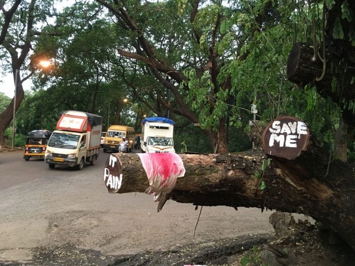 Aarey, Maharashtra polls, adivasis, Assembly elections, Aarey forest, forest rights, felling of trees