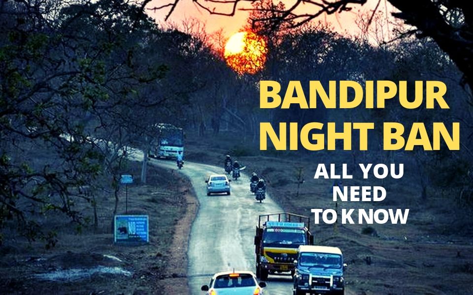 Night ban in Bandipur: All you need to know