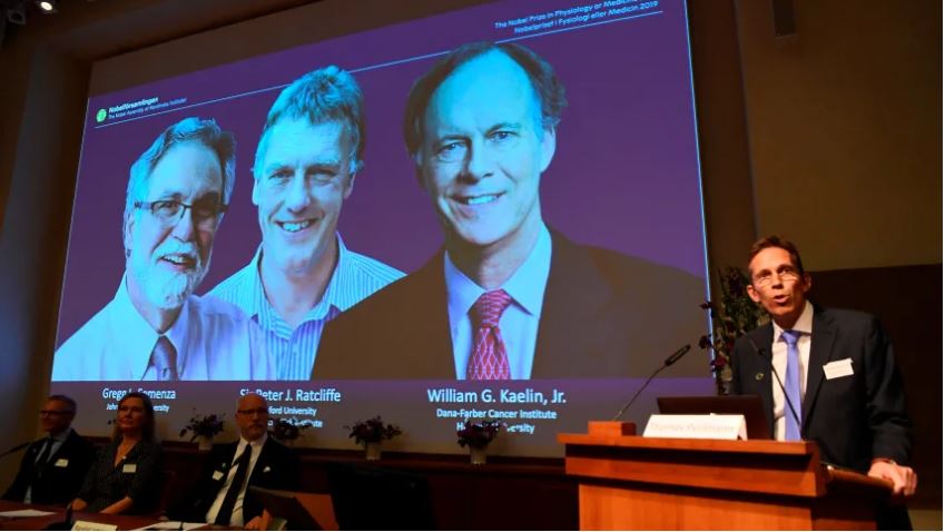 William Kaelin, Gregg Semenza and Peter Ratcliffe win Nobel Medicine Prize