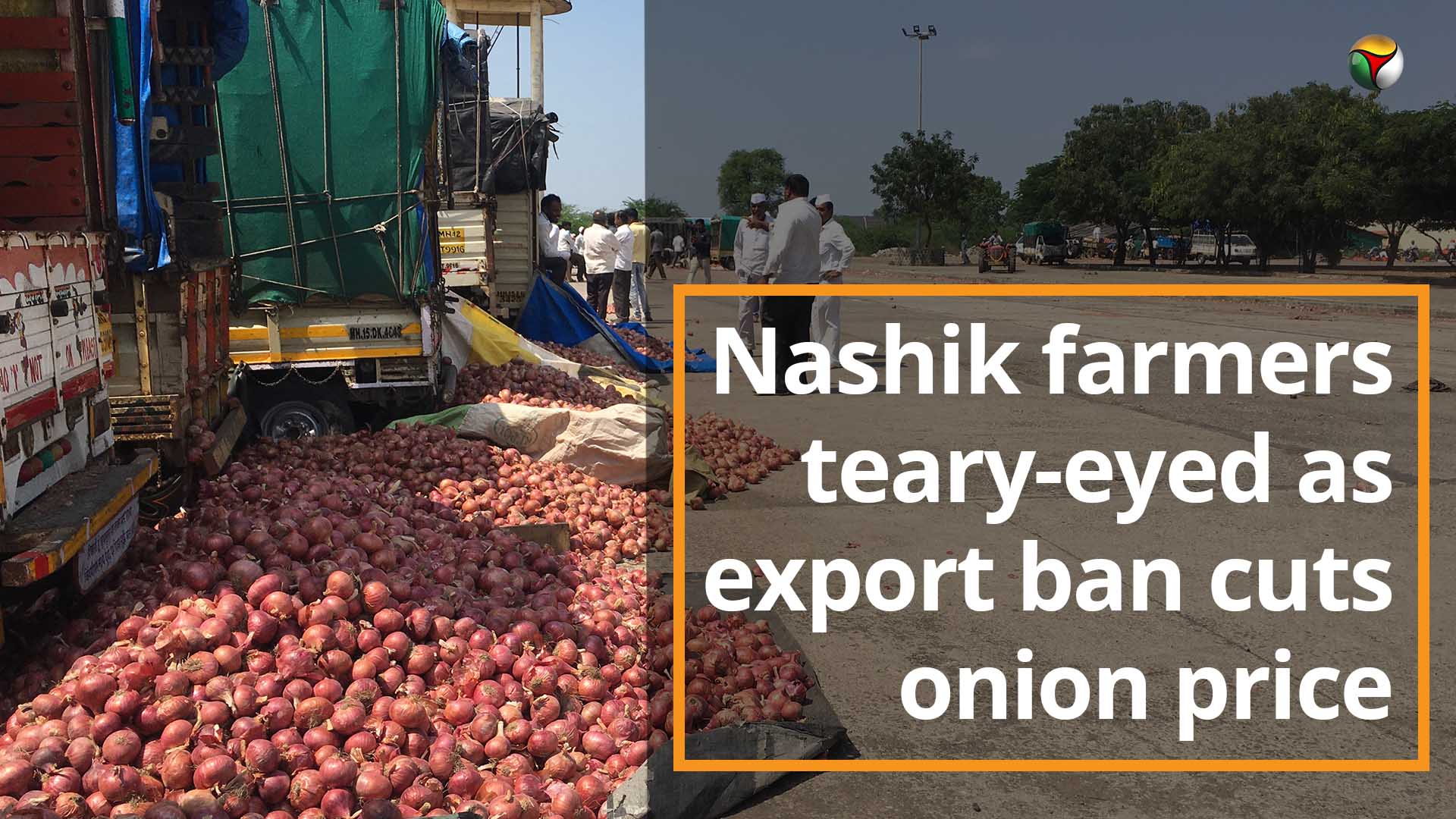 Nashik farmers teary-eyed as export ban cuts onion price