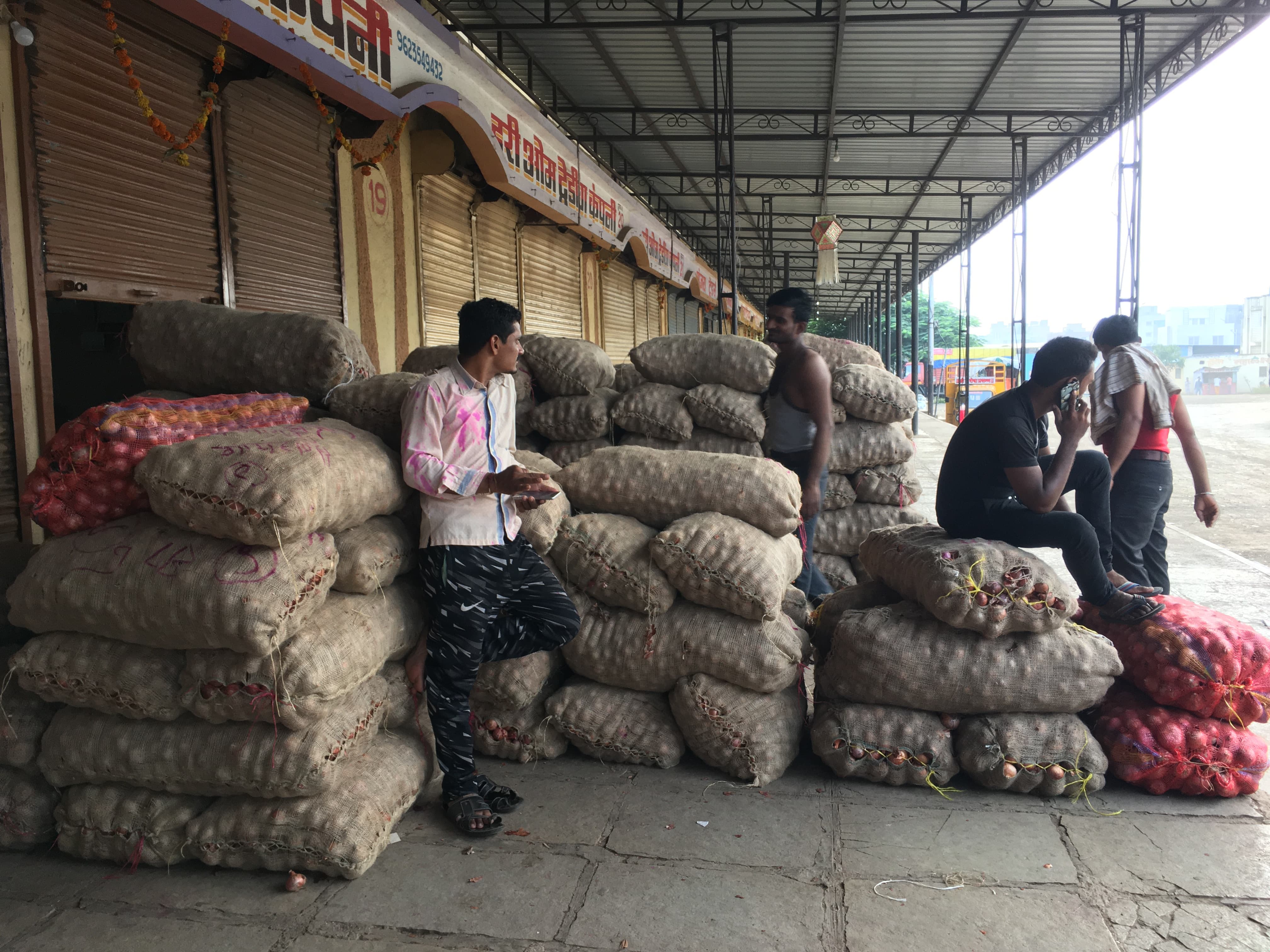 In poll bound Maharashtra, onion farmers, traders unhappy with govt