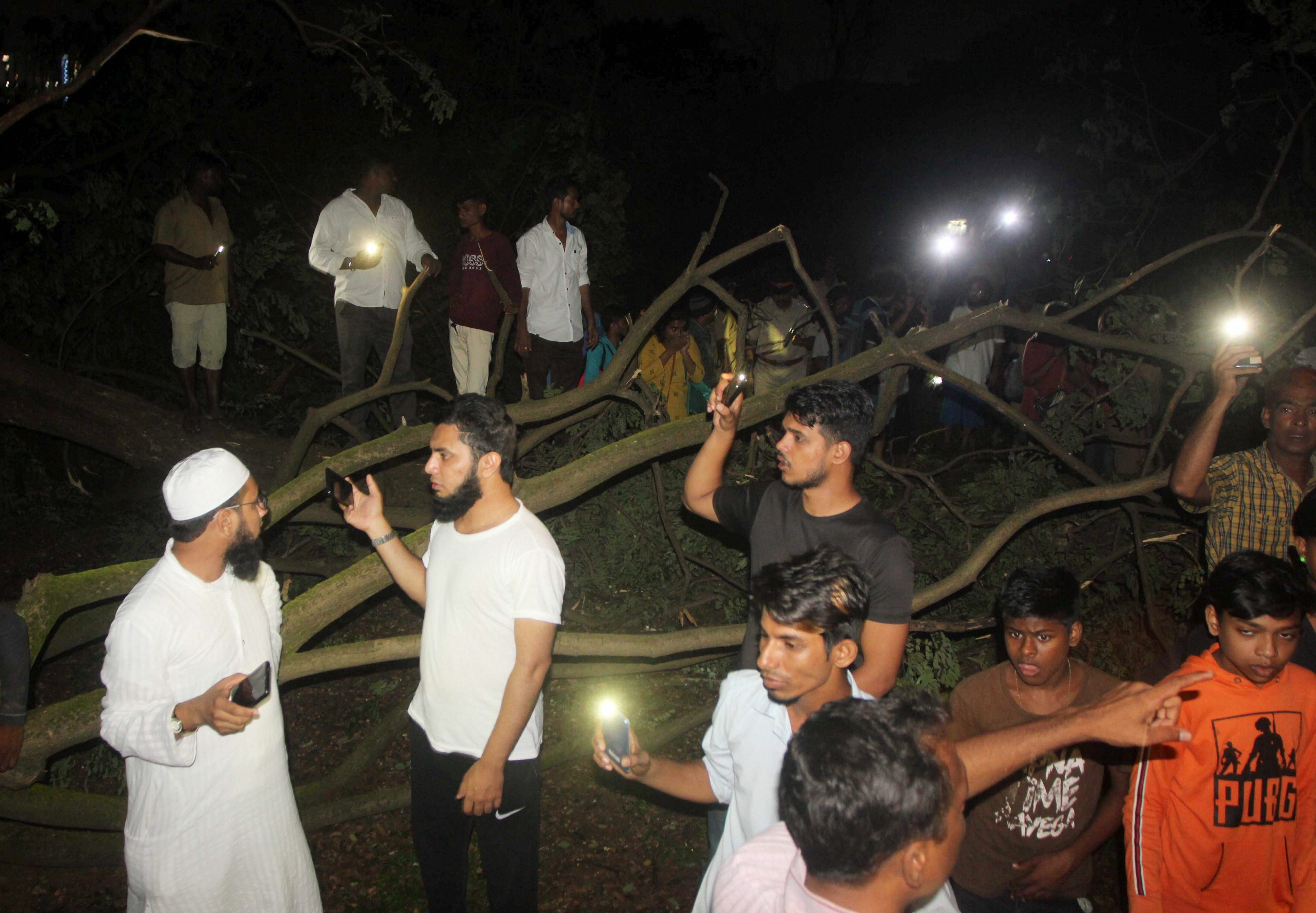 Bollywood celebs express anger over tree cutting in Aarey