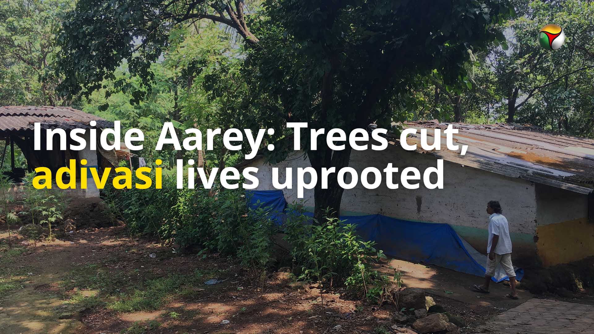 Inside Aarey forest: Trees cut, lives uprooted for adivasis
