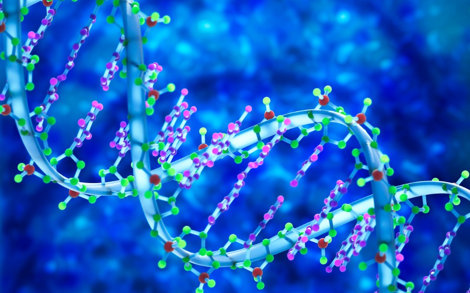 Privacy aside, genome sequencing project has serious implications