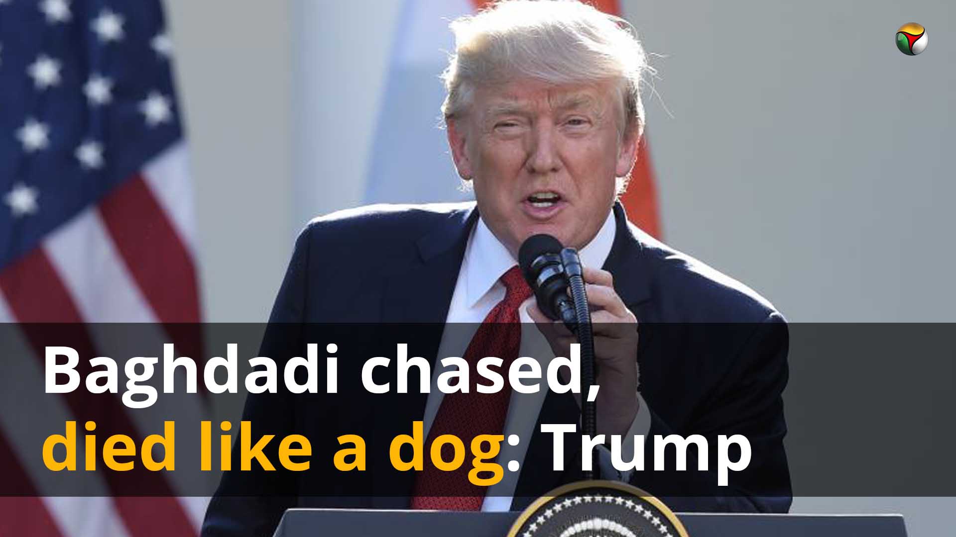 ISIS chief Baghdadi died like a dog, says Trump