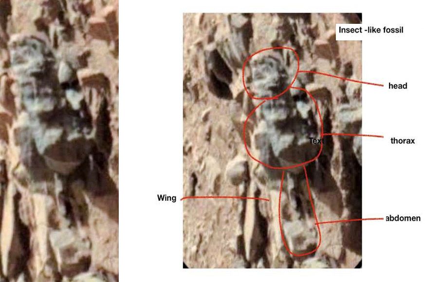 Ohio University expert finds evidence of life on Mars