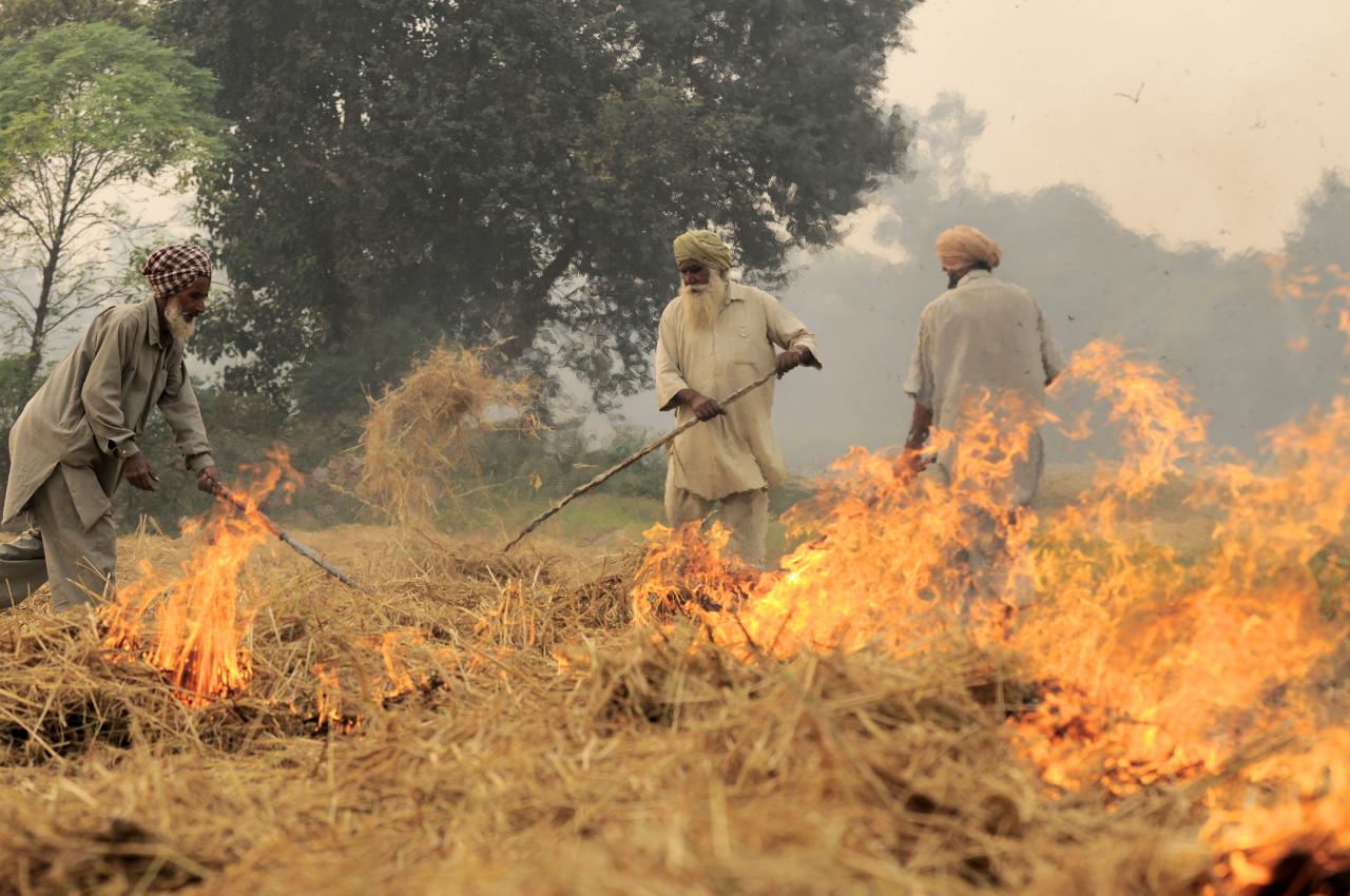 Punjab fines 3,000 farmers for stubble burning as Delhi engulfed in smog