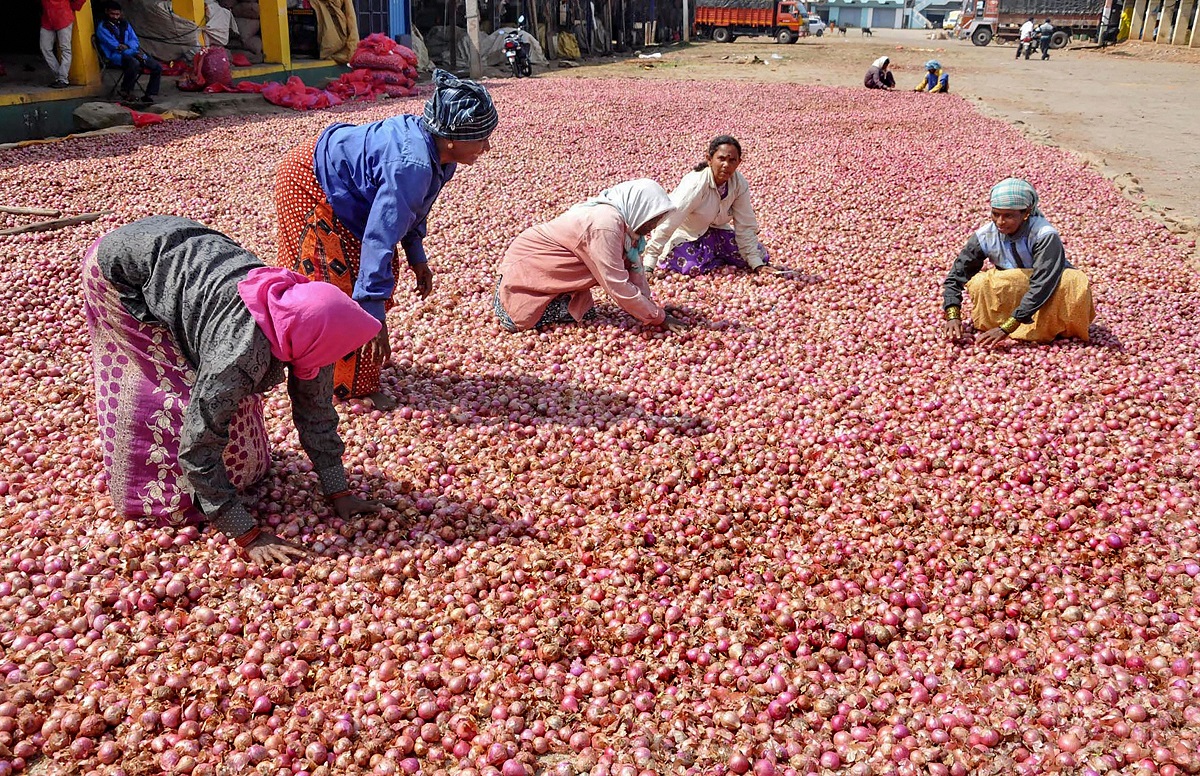 Onion prices rule high in MP, govt promises action
