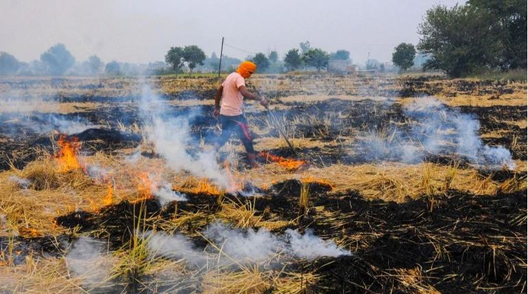 16 farmers arrested in Mathura for stubble burning