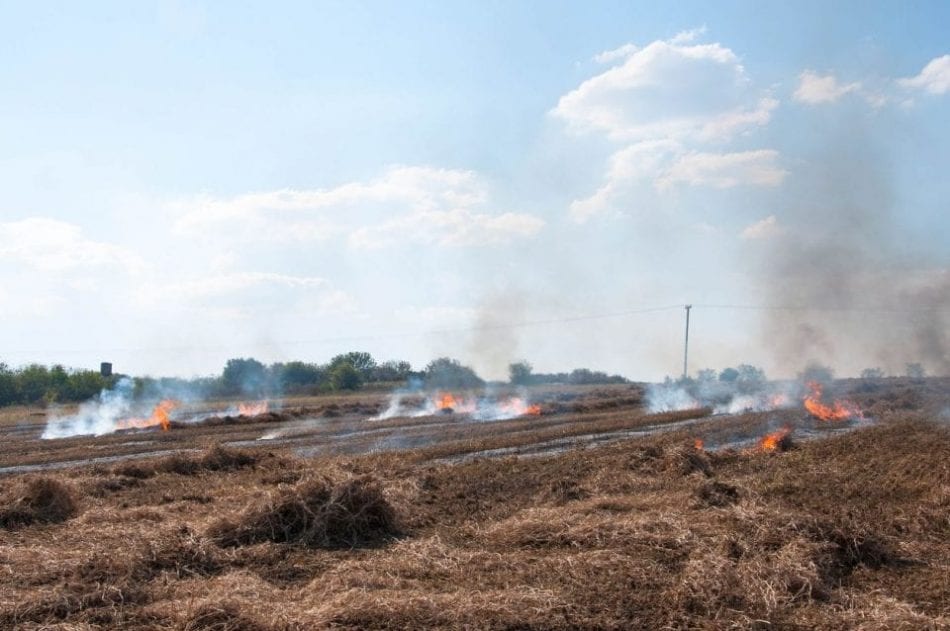 Stubble burning, Punjab, Haryana, air pollution, The Federal