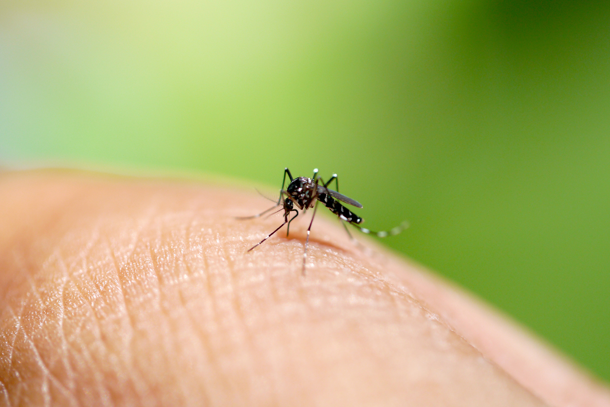 Worlds first sexually transmitted dengue case revealed in Madrid: Report