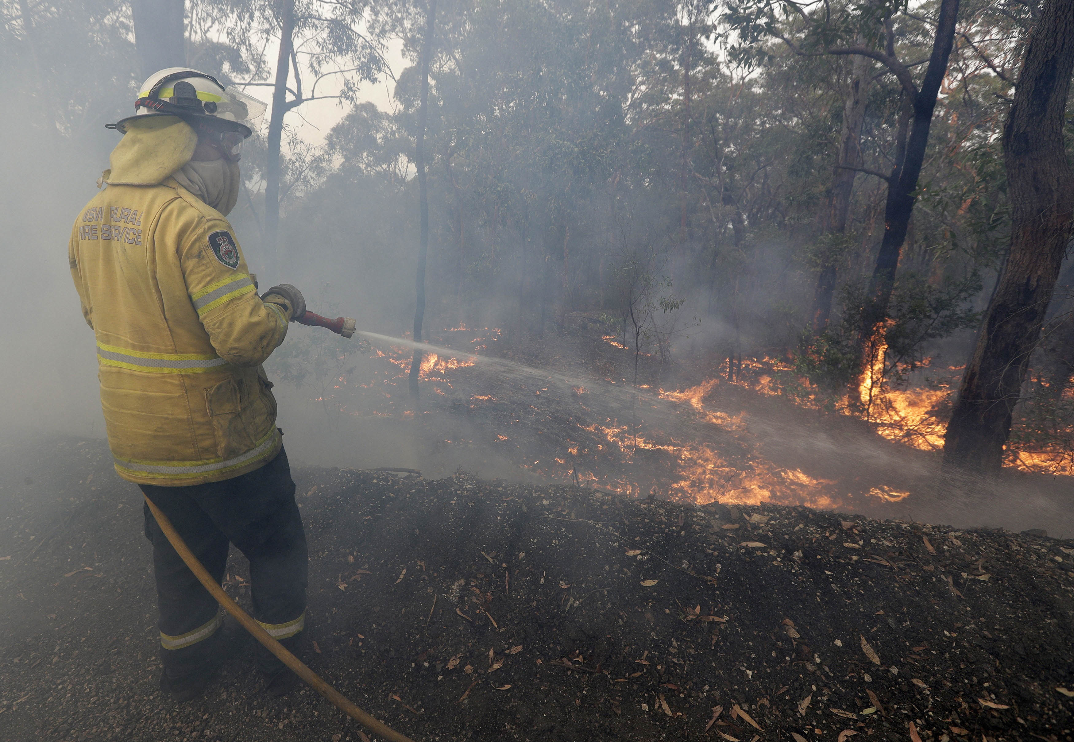 Heatwave intensifies bush fires in Australia