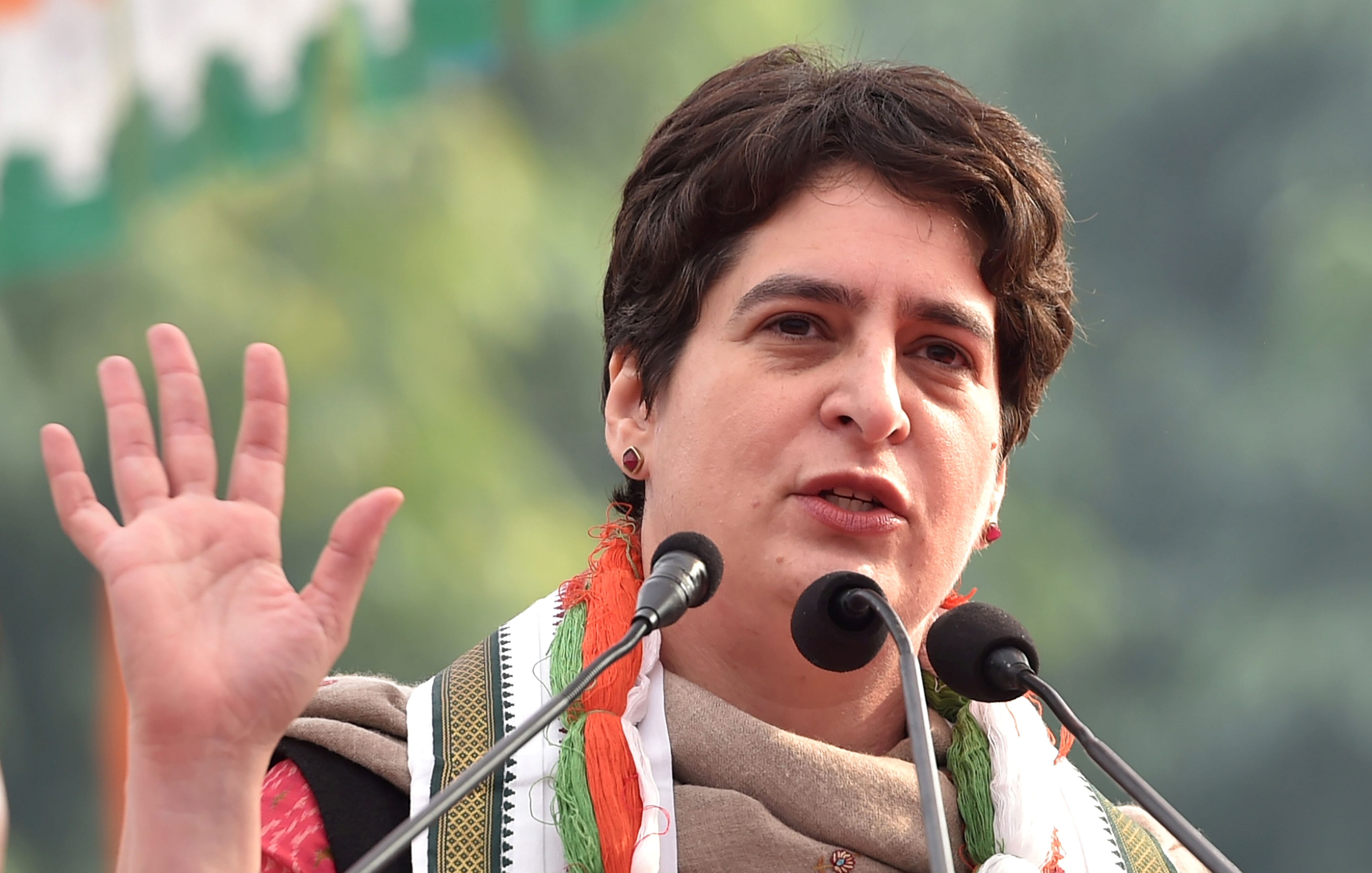 Priyanka Gandhi will sweep Raebareli election if she contests: Congress