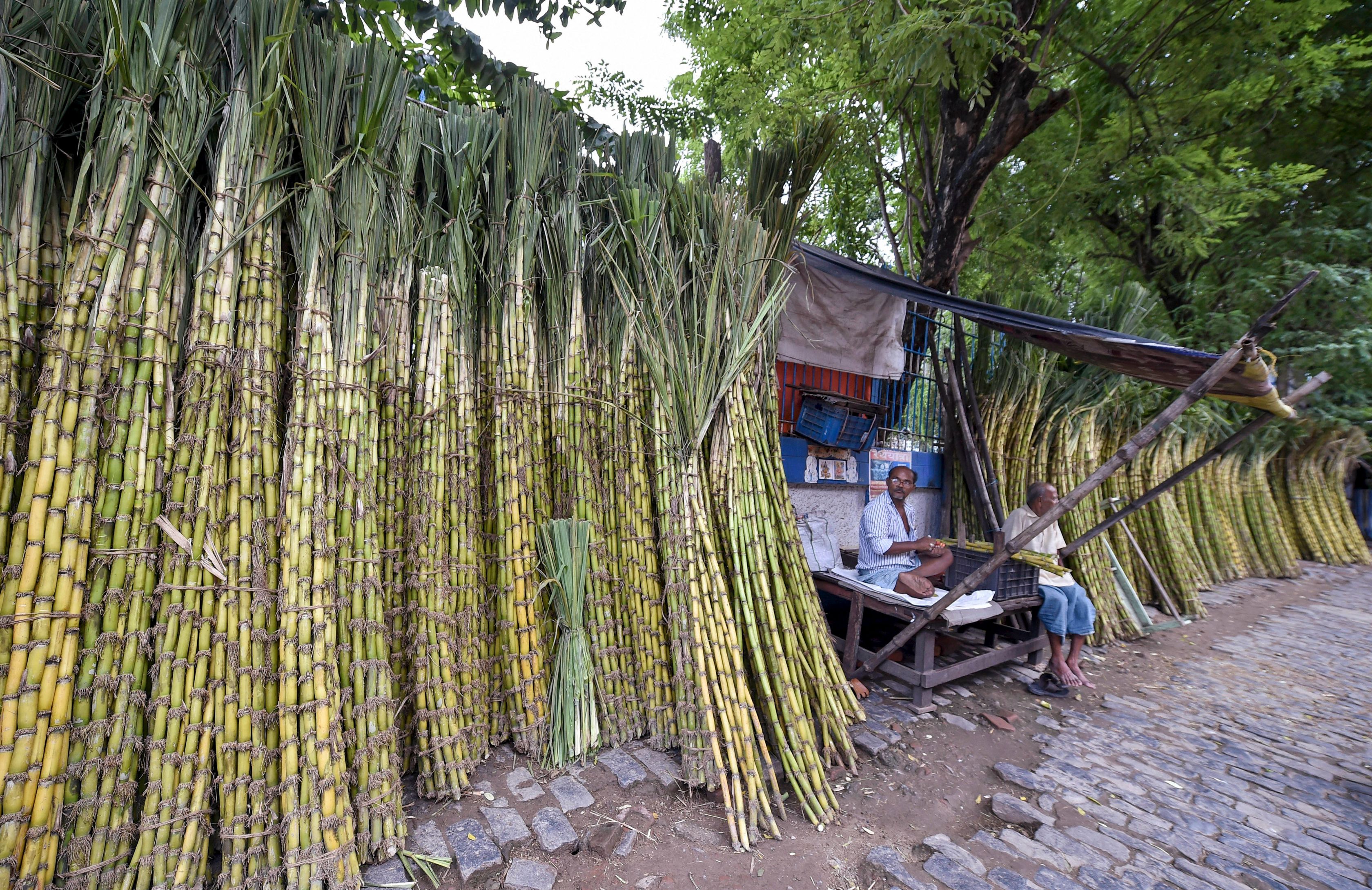 Sugarcane market